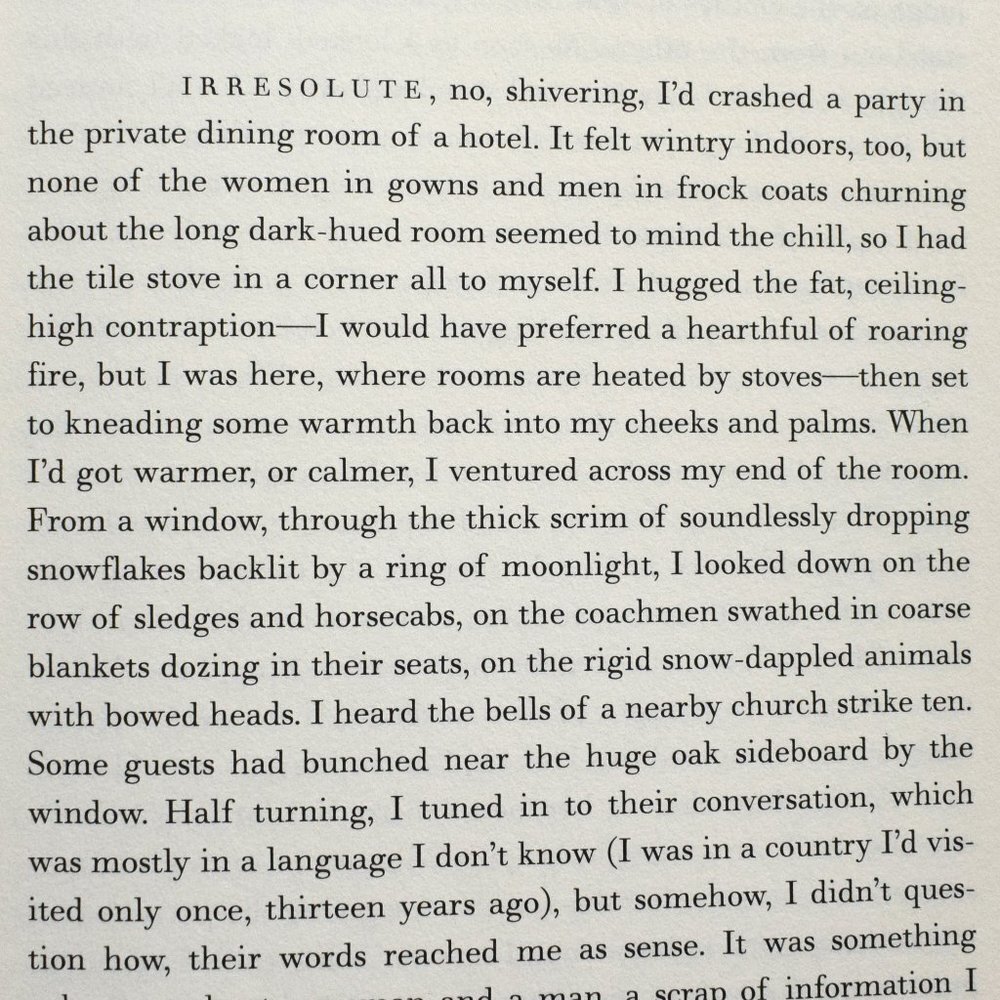 Susan Sontag book  "In America: A Novel" - Picture 4 of 5